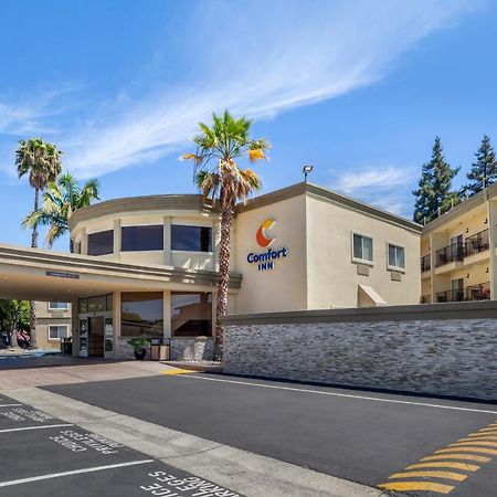 Comfort Inn Sunnyvale - Silicon Valley Bagian luar foto