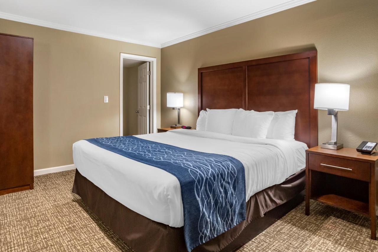 Comfort Inn Sunnyvale - Silicon Valley Bagian luar foto